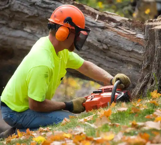 tree services Fairview